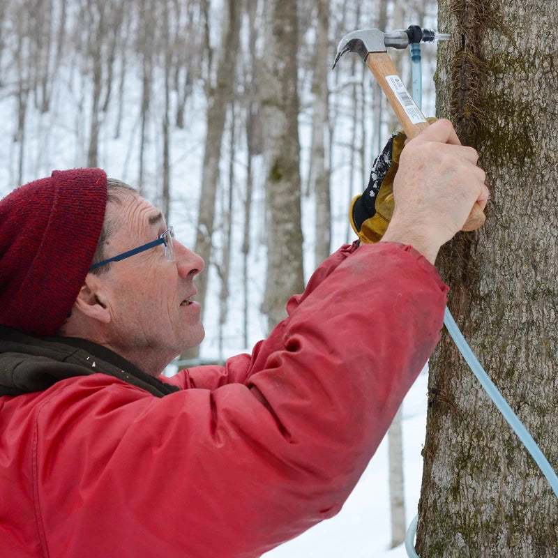 Maple Valley Maple Valley 10 Day Organic Master Cleanse Lemonade Detox/Kit with Peter Glickman Master Cleanse Coach Book