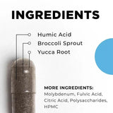 Cellcore Biosciences BioToxin Binder