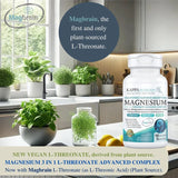 (150 Capsules), 2,253mg Per Serving, Providing 420mg Elemental Magnesium, L-Threonate, Bisglycinate Chelate, Malate, from Kappa Nutrition.
