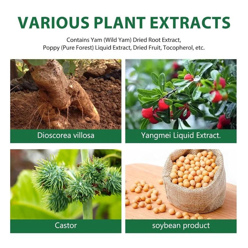 ANNA’S Wild Yam Cream - Organic Relief for Hot Flashes, Night Sweats & Hormonal Balance - Feel Your Best! Body Care Comfort - Volume: 100g*2pcs