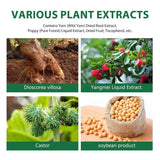 ANNA’S Wild Yam Cream - Organic Relief for Hot Flashes, Night Sweats & Hormonal Balance - Feel Your Best! Body Care Comfort - Volume: 100g*2pcs