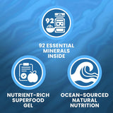 Organic Blue Spirulina Sea Moss Gel – Raw Irish Sea Moss Superfood (16 Fl Oz, Made in the USA)