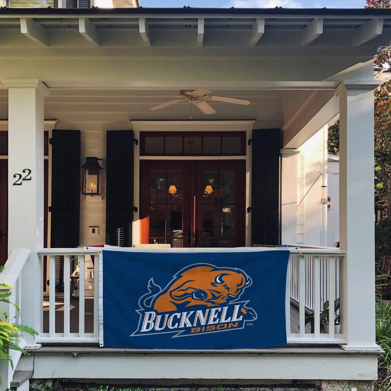 Desert Cactus Bucknell University Flag Bison Banners 100% Polyester Indoor Outdoor 3x5 feet Flags (Style 1)