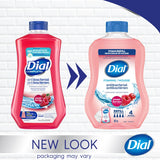 Dial Antibacterial Foaming Hand Wash Refill, Power Berries, 887ml