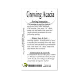 Acacia decurrens dealbata (Silver Acacia) Tree Seed, Warm, Honey, iris-Like Scent, You Choose The Quantity (1 Pack)