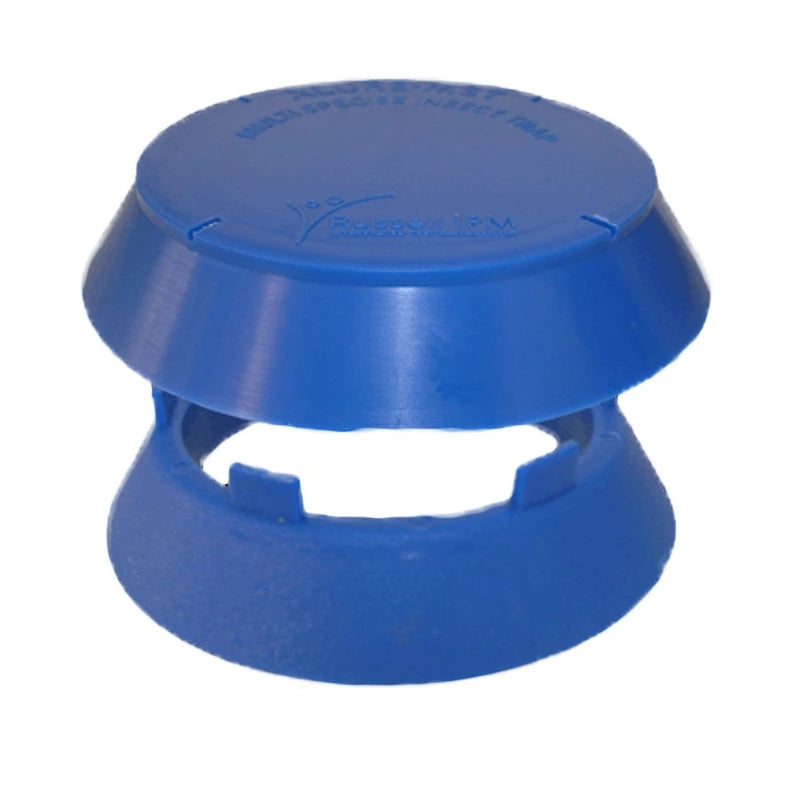 XLure R.T.U. Beetle Floor Trap 1 Box / 10 Traps