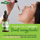 PURA VIDA MORINGA Organic Moringa Leaf Extract Liquid Drops - USDA Organic Certified - Highly Purified, Bioavailable & Faster Absorption Than Moringa Powder or Capsules - Single Origin Moringa Oleifera Leaves Extract