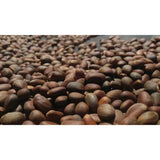 Grand Canyon Silver New Mexico Piñon, Pinon Pine Nuts, 2024 Harvest, 8oz ~ Roasted & Salted