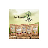 Nature’s Root Organic Moringa Powder 250g - 100% Natural Green Superfood | Vegan Whole Food | Non-GMO | High in Antioxidants | Dietary Fibre | Kraft Paper Pouch