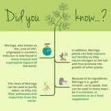 Vegavero Organic Moringa Oleifera Capsules 1800mg | Pure Moringa Powder | Non-GMO & Lab-Tested | No Additives | 270 Vegan Capsules | Malunggay Supplement | Organic Quality