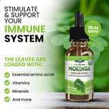 PURA VIDA MORINGA Organic Moringa Leaf Extract Liquid Drops - USDA Organic Certified - Highly Purified, Bioavailable & Faster Absorption Than Moringa Powder or Capsules - Single Origin Moringa Oleifera Leaves Extract