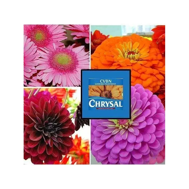 Chrysal CVBN Tablets 800 count jar clear odorless water Flowers Pill NEW SEALED