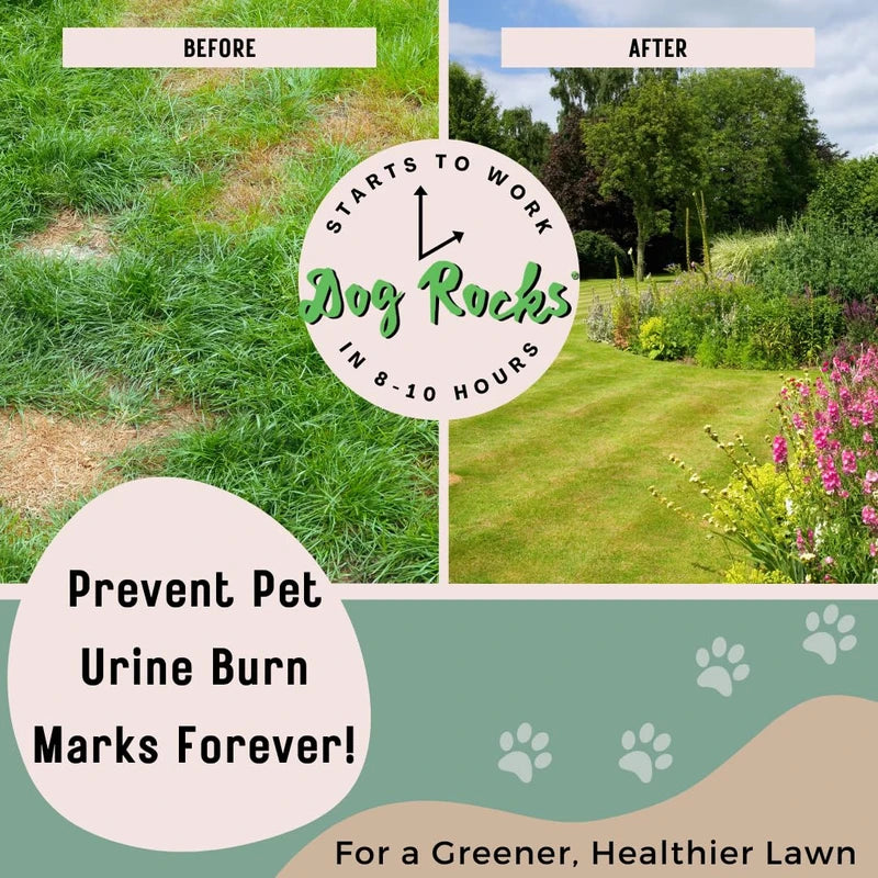 Dog Rocks Urine Patch Preventer 600g Bulk Bag Clear