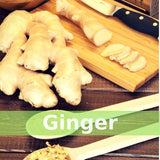 SpeedyVite® Herbal Super Tonic Enhanced Organic (2 fl oz) Apple Cider Vinegar Horseradish Onion Garlic Ginger Serrano Cayenne Habanero Pepper Natural wildcrafted Supports Immune Function*