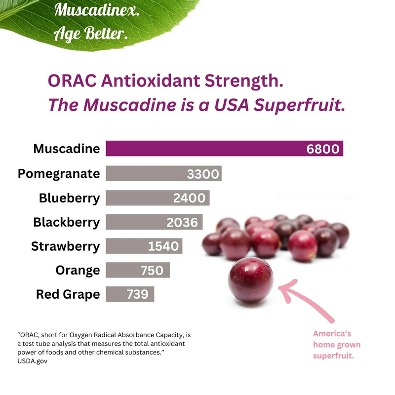 BioPerine Plus Grapeseed Extract Supplement. Time Release. Piperine Black Pepper Can Boost Turmeric Curcumin and Resveratrol. Made in USA. Vegan. Non GMO.