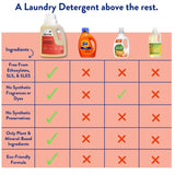 Immunity Boost Liquid Laundry Detergent 50oz by Revive Essential Oils - Ultra Concentrated, Synthetic Fragrance Free, Stain Fighting, Essential Oils