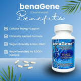 Benagene Oxaloacetate Supplement - Supports Cellular Energy - Thermally Stabilized with Vitamin C - Non-GMO & Vegan - 30 Servings, Once Daily