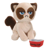 GUND 4059101 "Box O Everyday Grumpy Cat Soft Toy