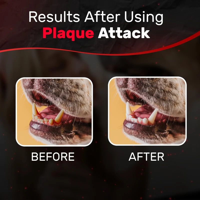 Pet Dental Spray, As Seen on TV, Eliminates Plaque & Tartar, Helps W/Bacteria, and Provides Instant Fresh Breath - Includes 3 Months' Supply of Peppermint Spray, 1fl. OZ (30ML)