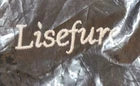 New Lisefure Skateboard Shoulder Carrier/Backpack/Carry Bag/Strap, Adjustable