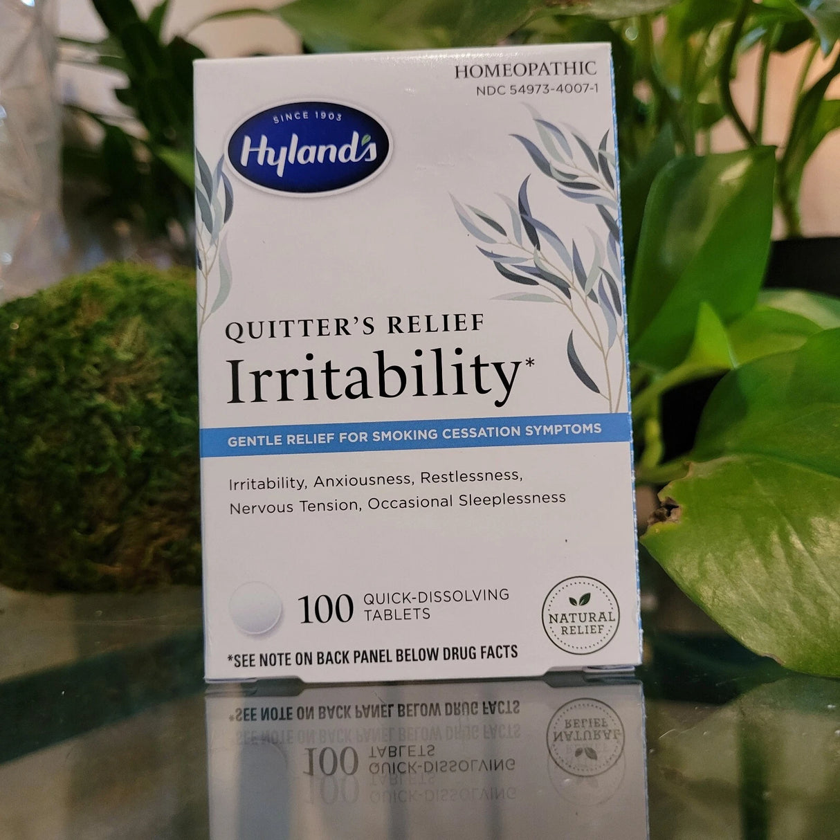 Hyland's Quitter's Relief Irritability Stop Quit Smoking Aid Homeopathic 100ct