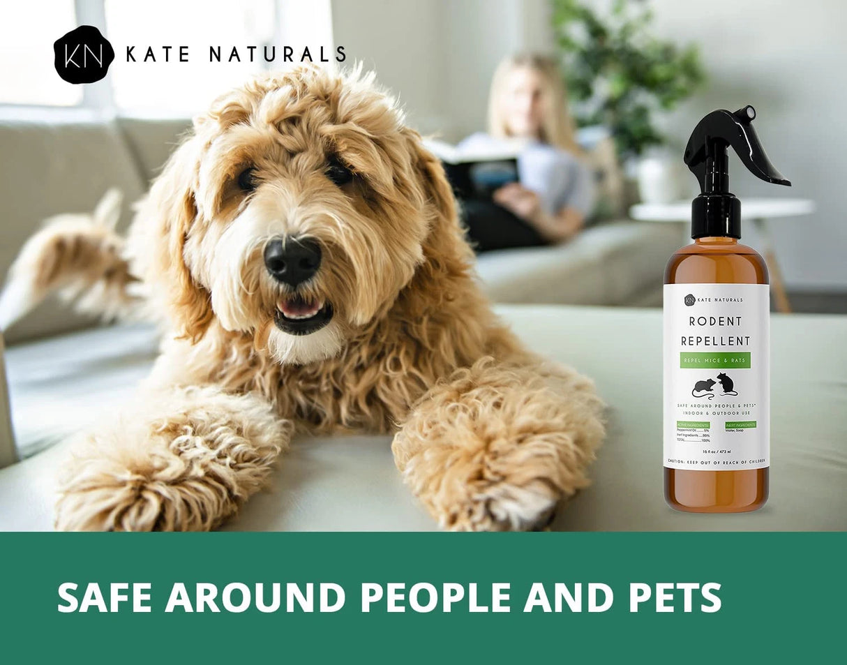 Peppermint Oil Rodent Repellent Spray (16oz) from Kate Naturals. Mice Repellent with Peppermint Oil to Repel Mice and Rats. Non-Toxic Peppermint Spray for Rodents, Raccoons Outdoors. Made in USA