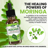 PURA VIDA MORINGA Organic Moringa Leaf Extract Liquid Drops - USDA Organic Certified - Highly Purified, Bioavailable & Faster Absorption Than Moringa Powder or Capsules - Single Origin Moringa Oleifera Leaves Extract