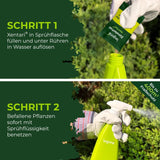 Legona® Xentari Moth-free & Caterpillar Free Boxwood Moth Spraying Agent, Biological Control of Mother, Cabbage White and Frost Teaser, 20 g, Easy to Dose, Not Dangerous to Bees