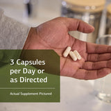 Standard Process ProSynbiotic - Whole Food Bowel, Immune Support, Digestion and Digestive Health with Bifidobacterium, Chicory Root, Lactobacillus Acidophilus, and Inulin - Vegetarian - 90 Capsules