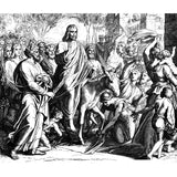 Palm Sunday Palm Crosses - Pack of 50 - 9.5" Tall