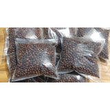 Grand Canyon Silver New Mexico Piñon, Pinon Pine Nuts, 2024 Harvest, 8oz ~ Roasted & Salted