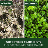 Legona® Xentari Moth-free & Caterpillar Free Boxwood Moth Spraying Agent, Biological Control of Mother, Cabbage White and Frost Teaser, 20 g, Easy to Dose, Not Dangerous to Bees