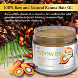 Dr. Sebi Batana Oil 100% Natural, Unrefined & Organic from Honduras for Hair Growth, Improves Hair Thickness, Prevents Hair Loss for Men & Women