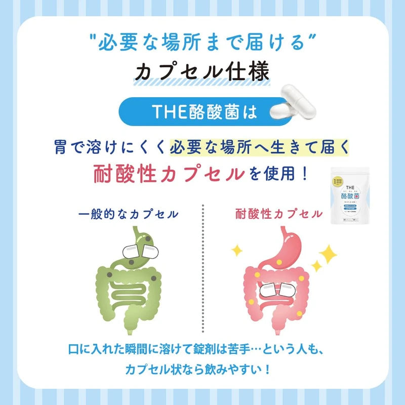 武内製薬 THE 酪酸菌 30粒 約1ヵ月分 乳酸菌 ビフィズス菌 オリゴ糖 善玉菌 酪酸菌 サプリ 短鎖脂肪酸