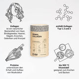 Collagen Hydrolysate Peptides (Natural Cocoa Flavour) Premium Protein Powder Primal Collagen Protein Powder from Willow Production Type I and Type II Lift Drink and Laboratory Tested Cocoa - 600 g