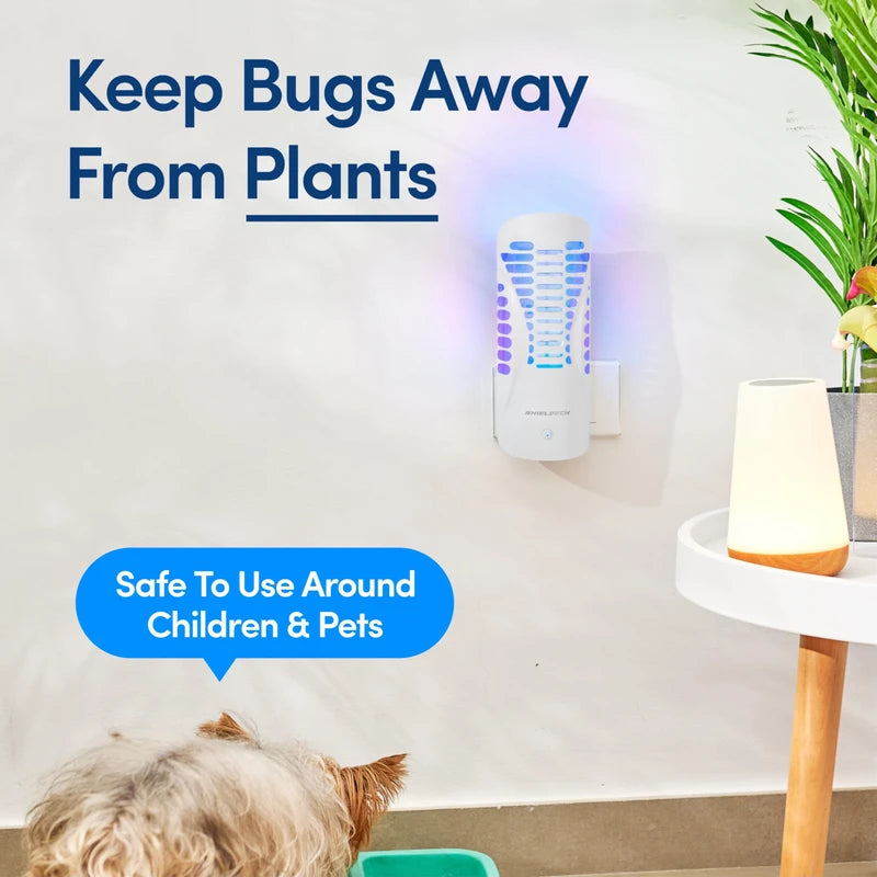 Shieldeck Flying Insect Trap Plug in - Indoor Fruit Fly Trap, Gnat Trap, and Mosquito Trap - Bug Catcher Traps with UV Light for House Indoors (1 Device + 5 Refills) (Device)