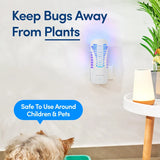 Shieldeck Flying Insect Trap Plug in - Indoor Fruit Fly Trap, Gnat Trap, and Mosquito Trap - Bug Catcher Traps with UV Light for House Indoors (1 Device + 5 Refills) (Device)