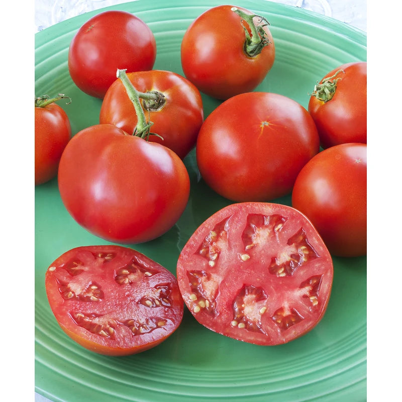 Bonnie Plants Bonnie Original Tomato Live Vegetable Plants - 4 Pack, Disease Resistant, 6 - 8 oz. Fruit Size, Great for Slicing