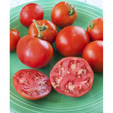Bonnie Plants Bonnie Original Tomato Live Vegetable Plants - 4 Pack, Disease Resistant, 6 - 8 oz. Fruit Size, Great for Slicing