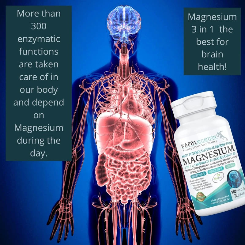 (150 Capsules), 2,253mg Per Serving, Providing 420mg Elemental Magnesium, L-Threonate, Bisglycinate Chelate, Malate, for Brain, Sleep, Stress, Cramps, Headaches, Energy, Heart from Kappa Nutrition.