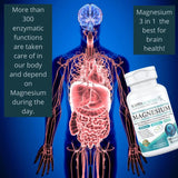 (150 Capsules), 2,253mg Per Serving, Providing 420mg Elemental Magnesium, L-Threonate, Bisglycinate Chelate, Malate, for Brain, Sleep, Stress, Cramps, Headaches, Energy, Heart from Kappa Nutrition.