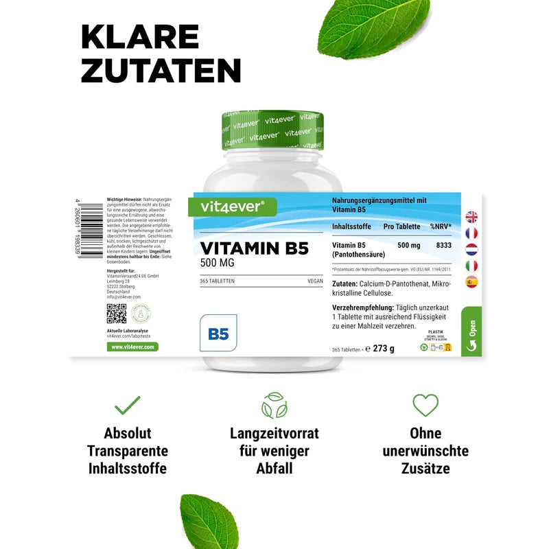 Vitamin B5-365 Tablets - 500 mg Pantothenic Acid - 1 Year Supply - High Dose - No Unwanted Additives - Vegan