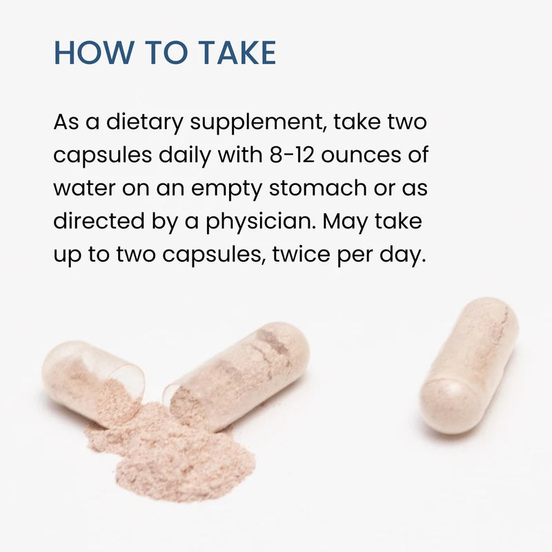 The Wellness Company The Wellness Company Spike Support | 60 ct (1 Month Supply) | with Nattokinase, A Proteolytic Enzyme for Fibrinolytic (Anti-Clotting) | Non-GMO, Vegan, Gluten Free | for Year-Round Immune Support