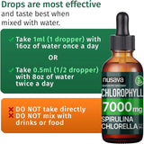 (2 Pack) Vegan Chlorophyll Liquid Drops 7000mg for Immune Support, Energy, Gut & Skin Health, 4-in-1 Liquid Chlorophyll Drops - 100mg, Spirulina, Chlorella, & Copper - Internal Deodorant, 4 Fl Oz