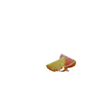 Lipton Tea 20 Pyramid Tea Bags "Tropical Fruit" Pure Tea Genus