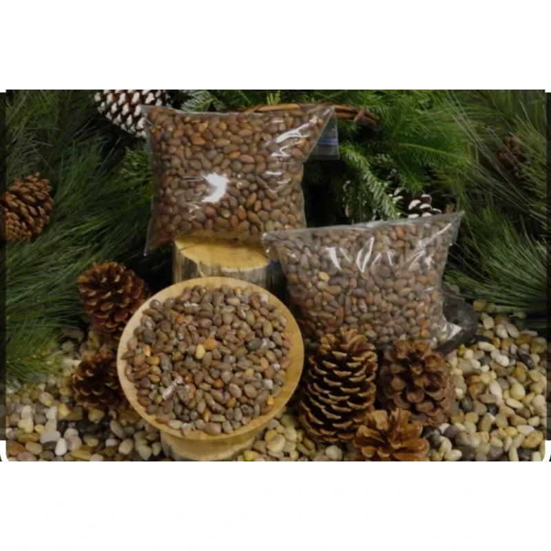 Unbranded $20 New Mexico Piñon, Pinon Pine Nuts, 2024 Harvest, Roasted & Salted  Or Raw