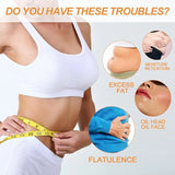 Cvreoz Bee Venom Patch, Bee Venom Patch, Bostore Bee Venom Lymphatic Drainage Patch, Bostore Bee Venom Patch, Bee Venom Patches(2Packs)