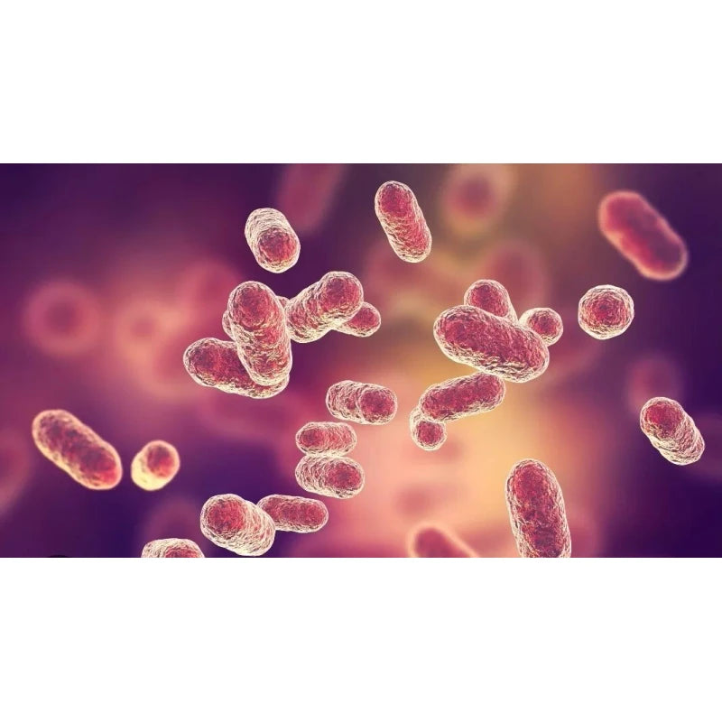 cnaturalife life inc NoBac Toothpaste "Killing any bacteria & virus particularly in mouth"