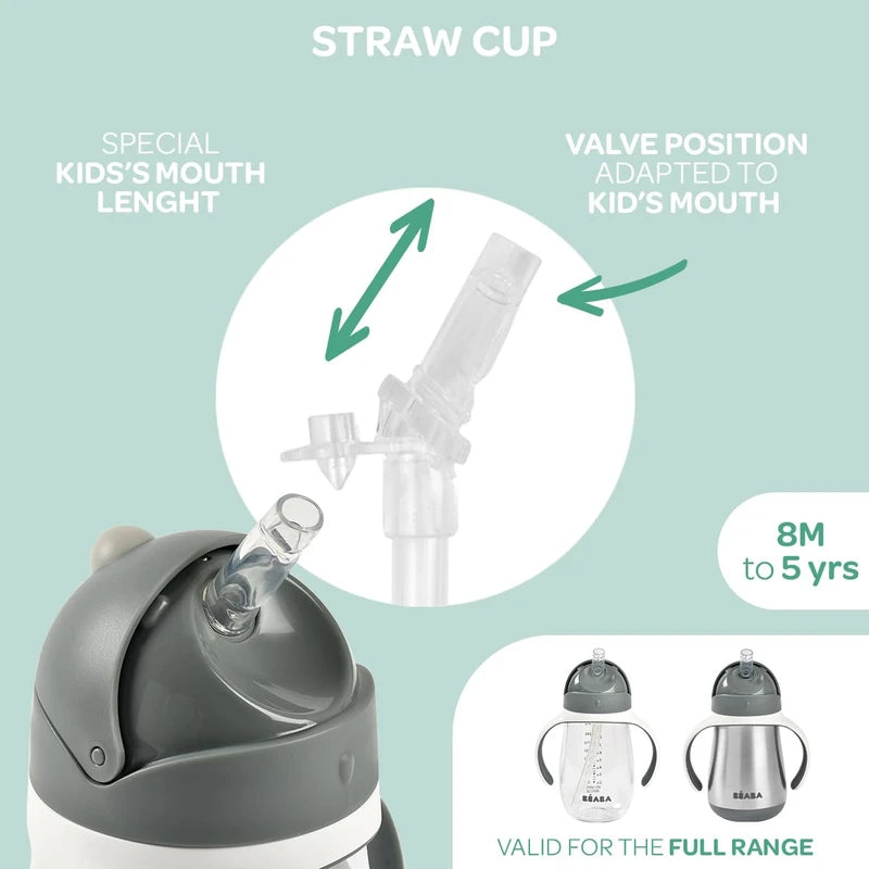 Beaba Stainless Steel Straw Sippy Cup, Insulated Toddler Cups Spill Proof with Removable Handles, Made with High Grade Stainless Steel, 8+ Months, 8.5 oz, (Rain)