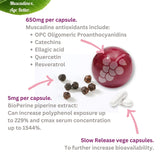BioPerine Plus Grapeseed Extract Supplement. Time Release. Piperine Black Pepper Can Boost Turmeric Curcumin and Resveratrol. Made in USA. Vegan. Non GMO.
